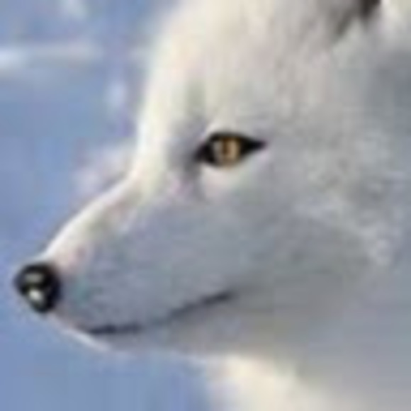 Meet your Posher, She - Picture 1 of 1